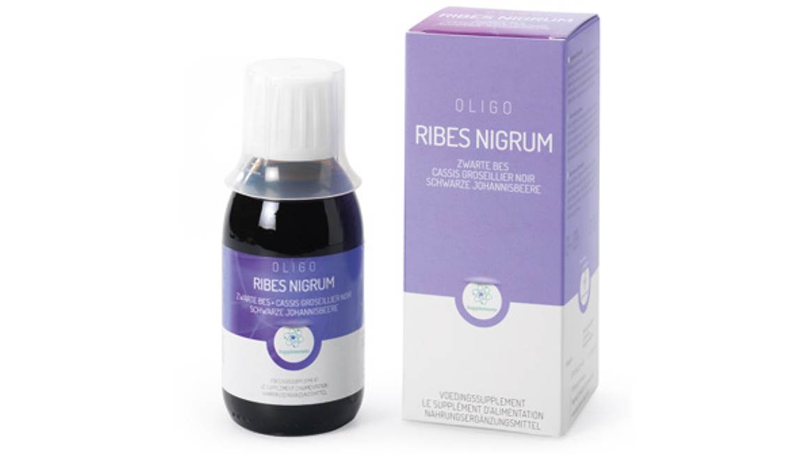 oligoplant-ribes-nigrum--9